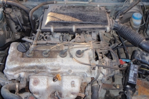 Nissan Primera