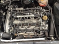vectra1