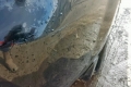 33503199_Image_10
