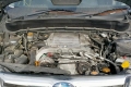 33503199_Image_7